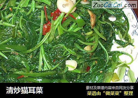 清炒猫耳菜