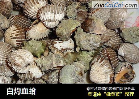 白灼血蛤