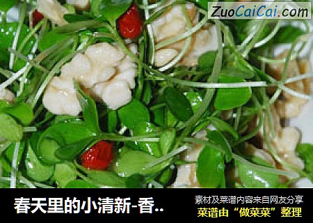 春天里的小清新-香椿苗拌核桃仁