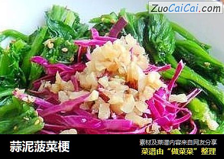 蒜泥菠菜梗