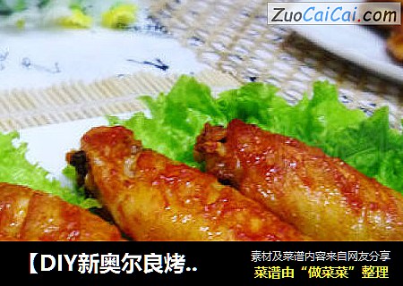 【DIY新奥尔良烤肉】第一次的烤箱菜---新奥尔良烤鸡翅