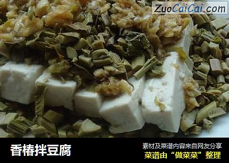 香椿拌豆腐