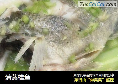 清蒸桂鱼
