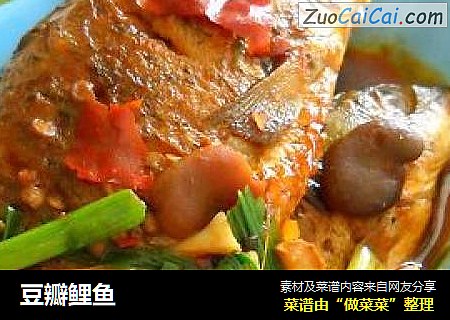 豆瓣鲤鱼