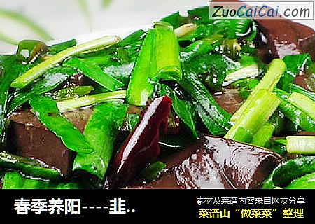 春季养阳----韭菜炒猪血