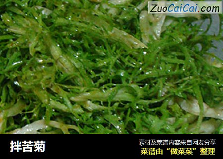 拌苦菊