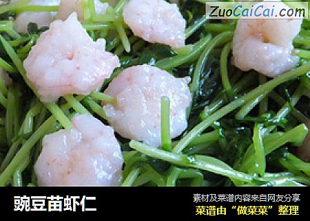豌豆苗虾仁