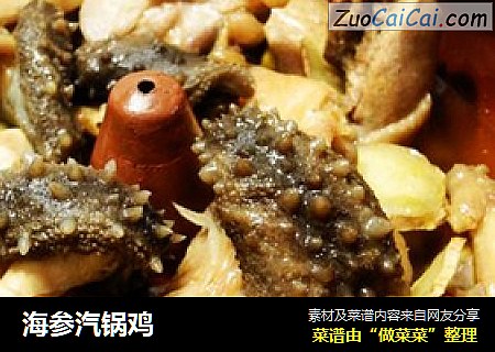 海参汽锅鸡