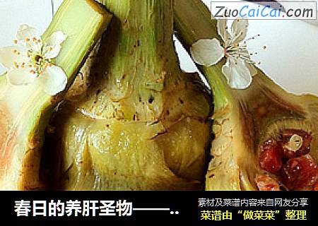 春日的养肝圣物——腊香朝鲜蓟