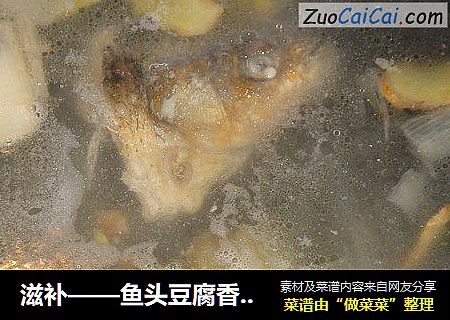 滋补——鱼头豆腐香菇汤
