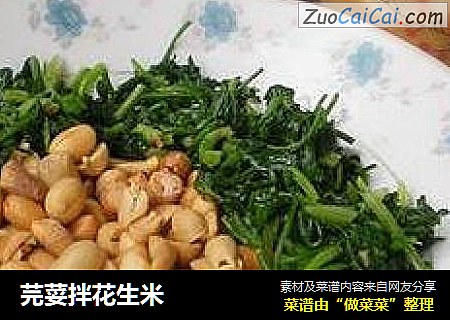 芫荽拌花生米