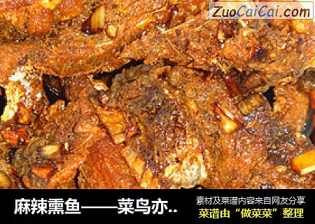 麻辣熏鱼——菜鸟亦可成大厨