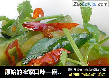 原始的农家口味—麻辣拌黄瓜