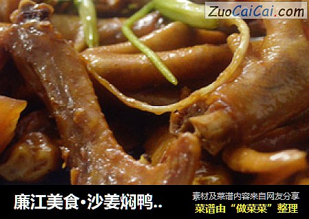 廉江美食·沙姜焖鸭掌鸭翅