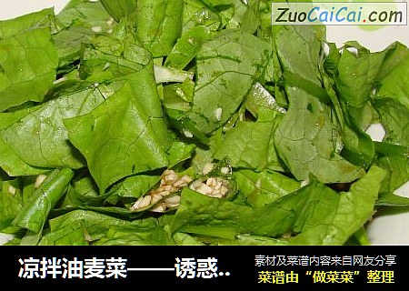 凉拌油麦菜——诱惑你的味觉