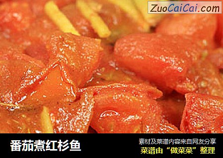 番茄煮红杉鱼