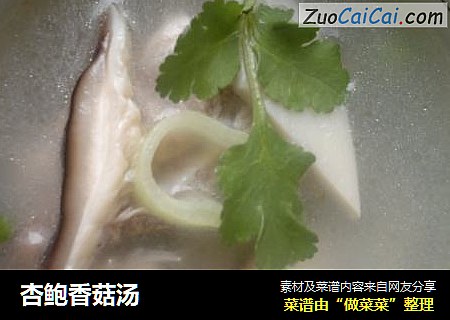 杏鲍香菇汤