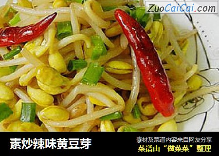 素炒辣味黄豆芽