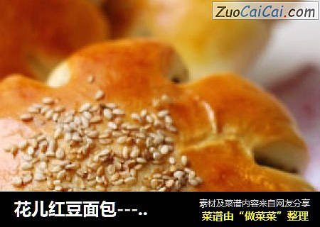 花儿红豆面包----幸福如花 我们快乐着！