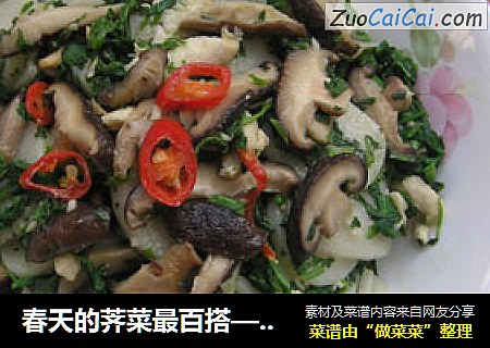 春天的荠菜最百搭——荠菜炒年糕