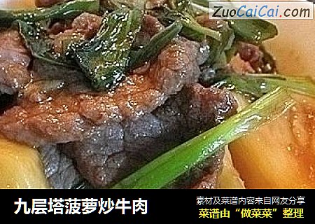 九层塔菠萝炒牛肉