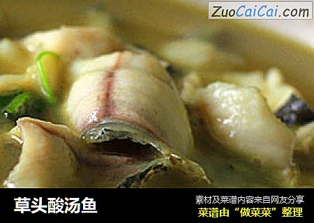 草头酸汤鱼