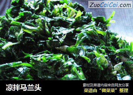 凉拌马兰头