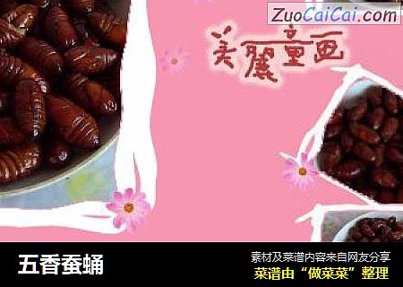 五香蚕蛹