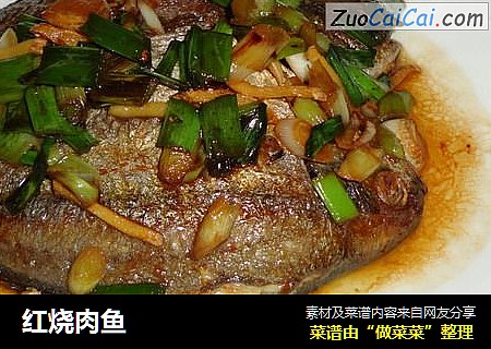 红烧肉鱼