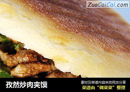 孜然炒肉夹馍