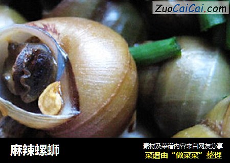 麻辣螺蛳