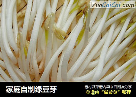 家庭自制绿豆芽