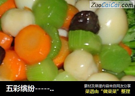 五彩缤纷