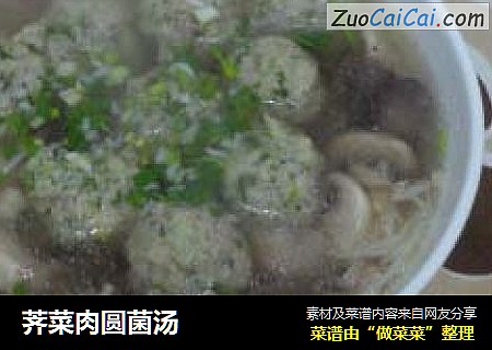 荠菜肉圆菌汤