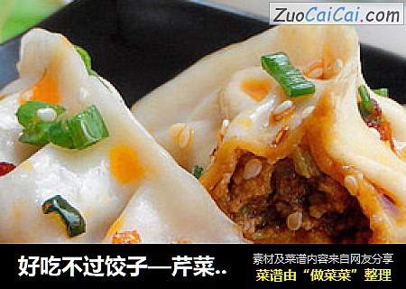 好吃不过饺子—芹菜鲜肉煎饺