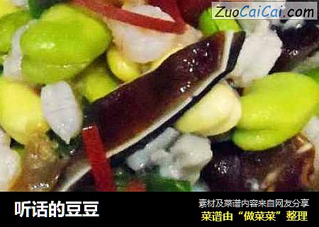 听话的豆豆