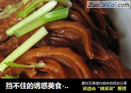 挡不住的诱惑美食--一口香鸭掌