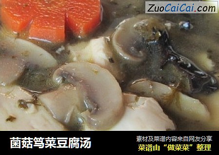 菌菇笃菜豆腐汤