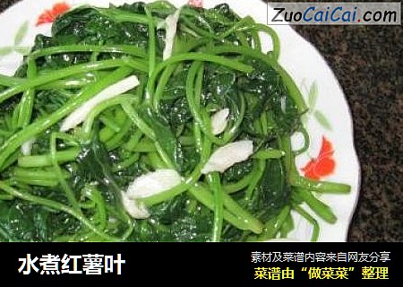 水煮红薯叶