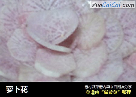 萝卜花
