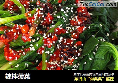 辣拌菠菜