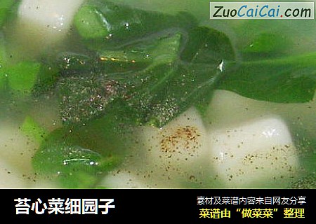 苔心菜细园子