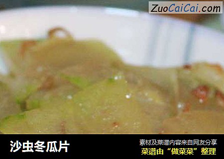 沙虫冬瓜片