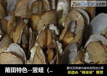 莆田特色--竖蛏（立蛏）