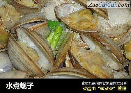 水煮蚬子