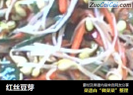 红丝豆芽