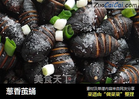 葱香茧蛹