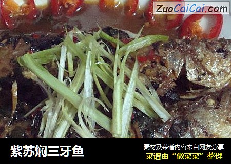 紫苏焖三牙鱼