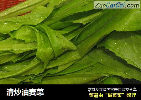 清炒油麦菜