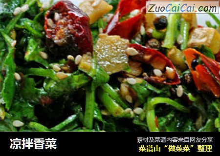 凉拌香菜